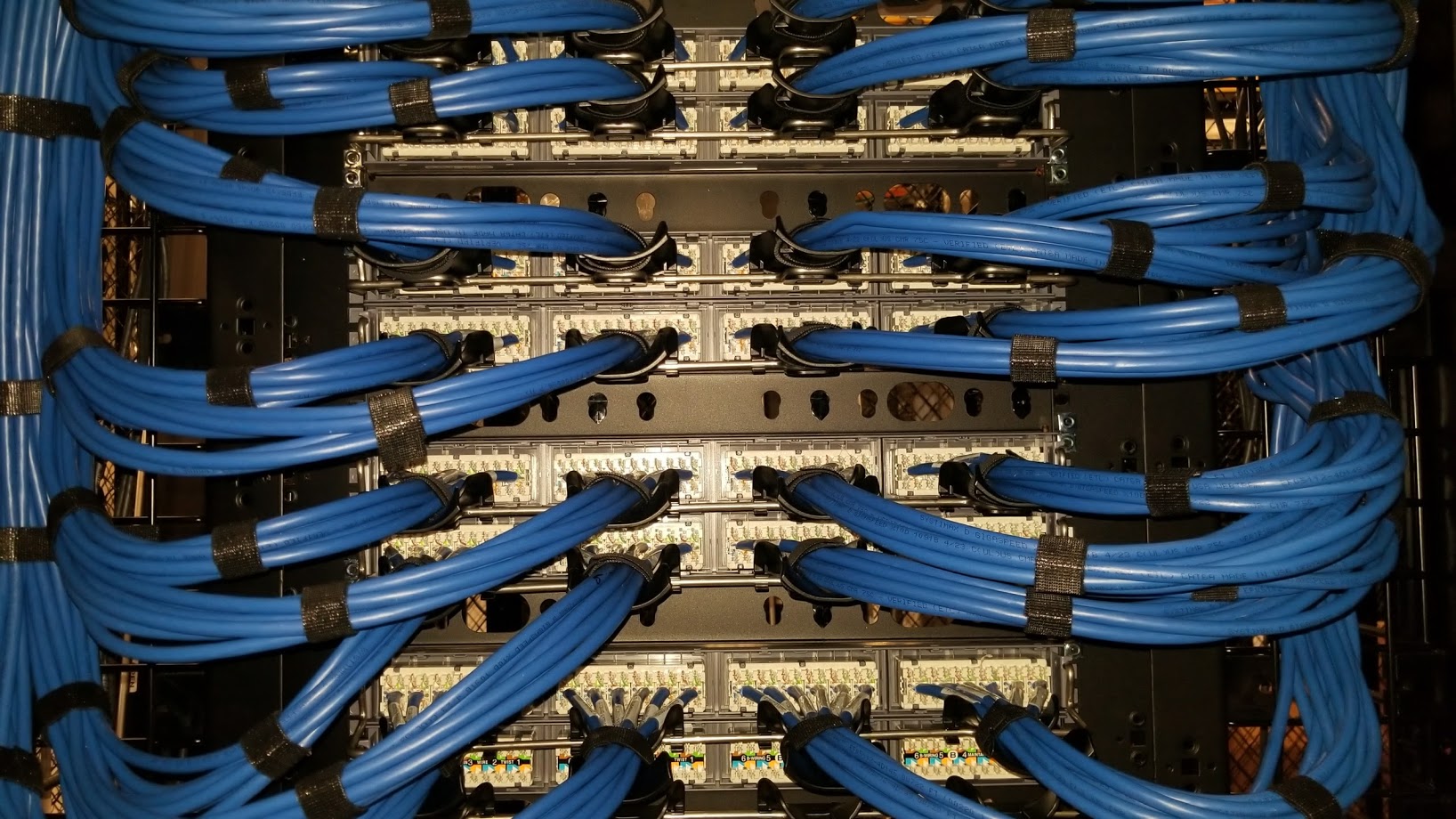 Organized blue data cabling terminated in patch panels
